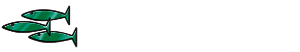 SeaArk Boats